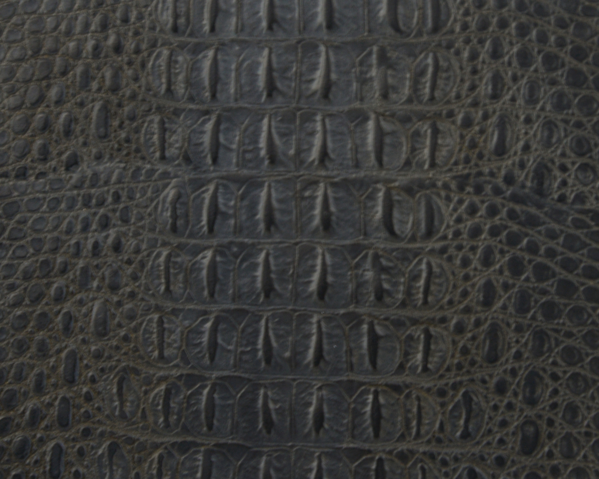 EUR-08-0096
