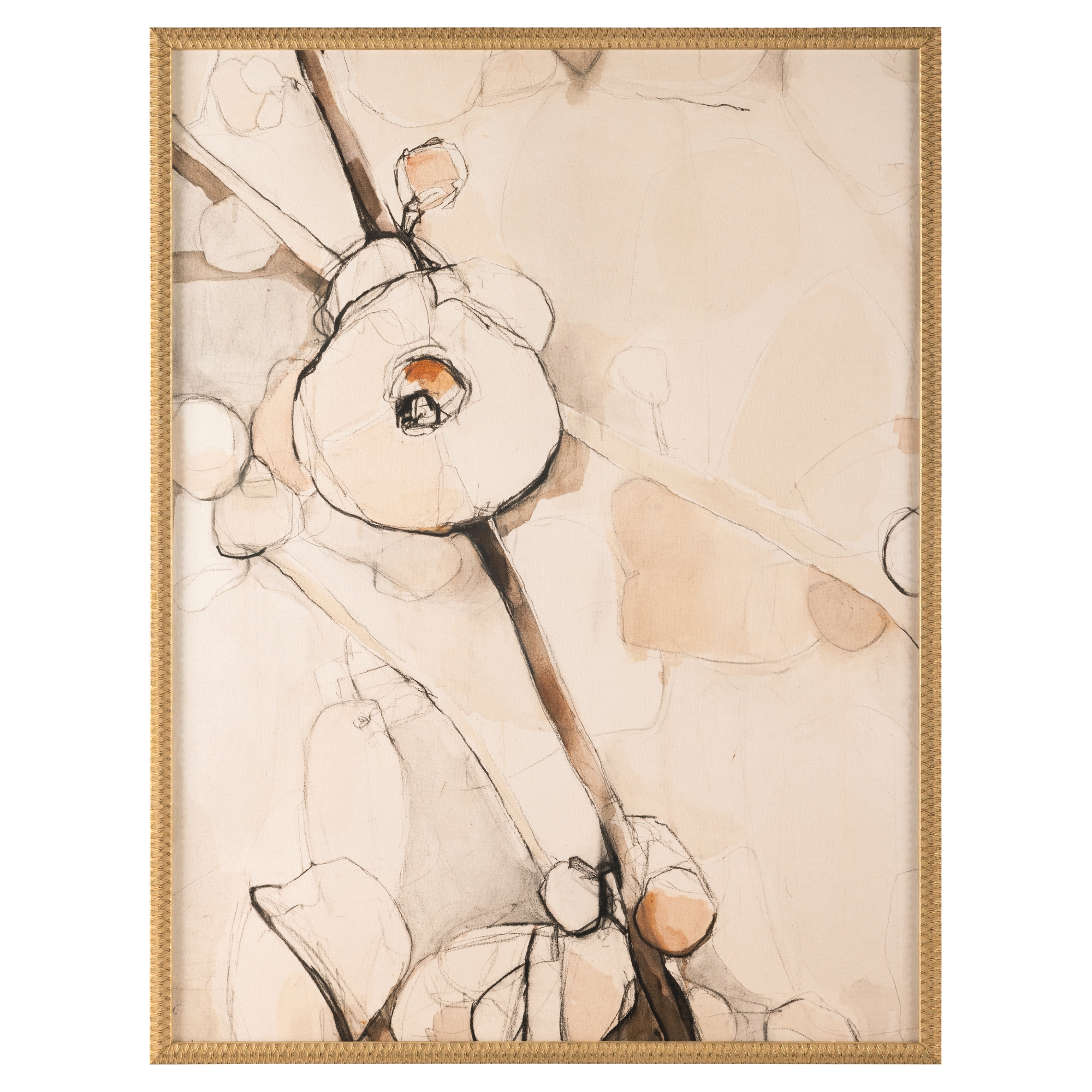 Shannon Plourde's Sweet Blossom