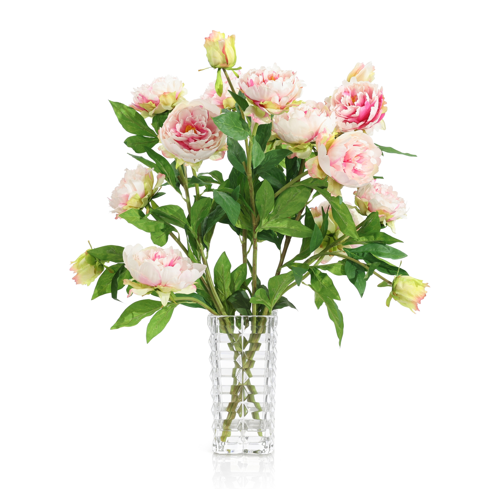 Blushing Peony Garden