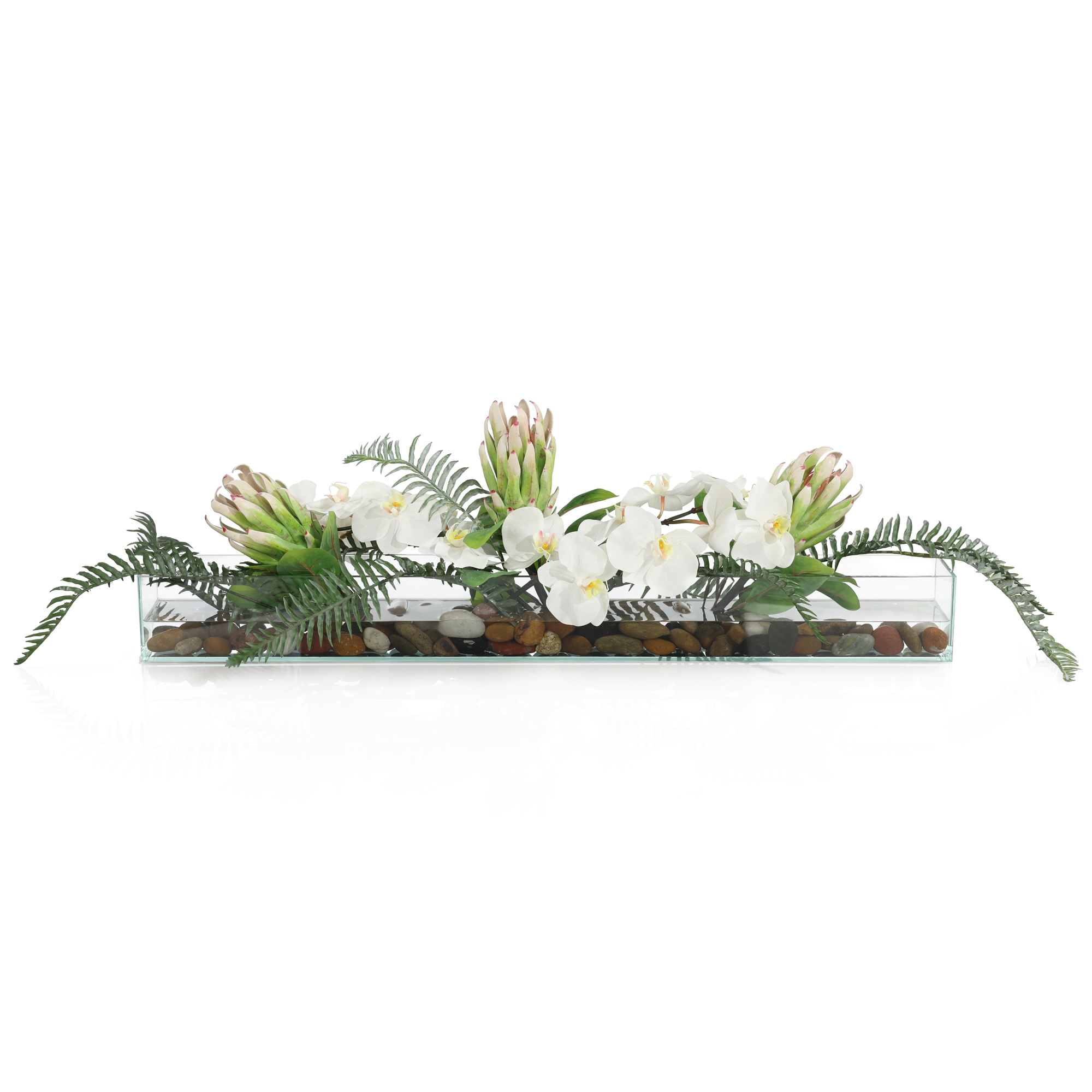 Tropical Garden