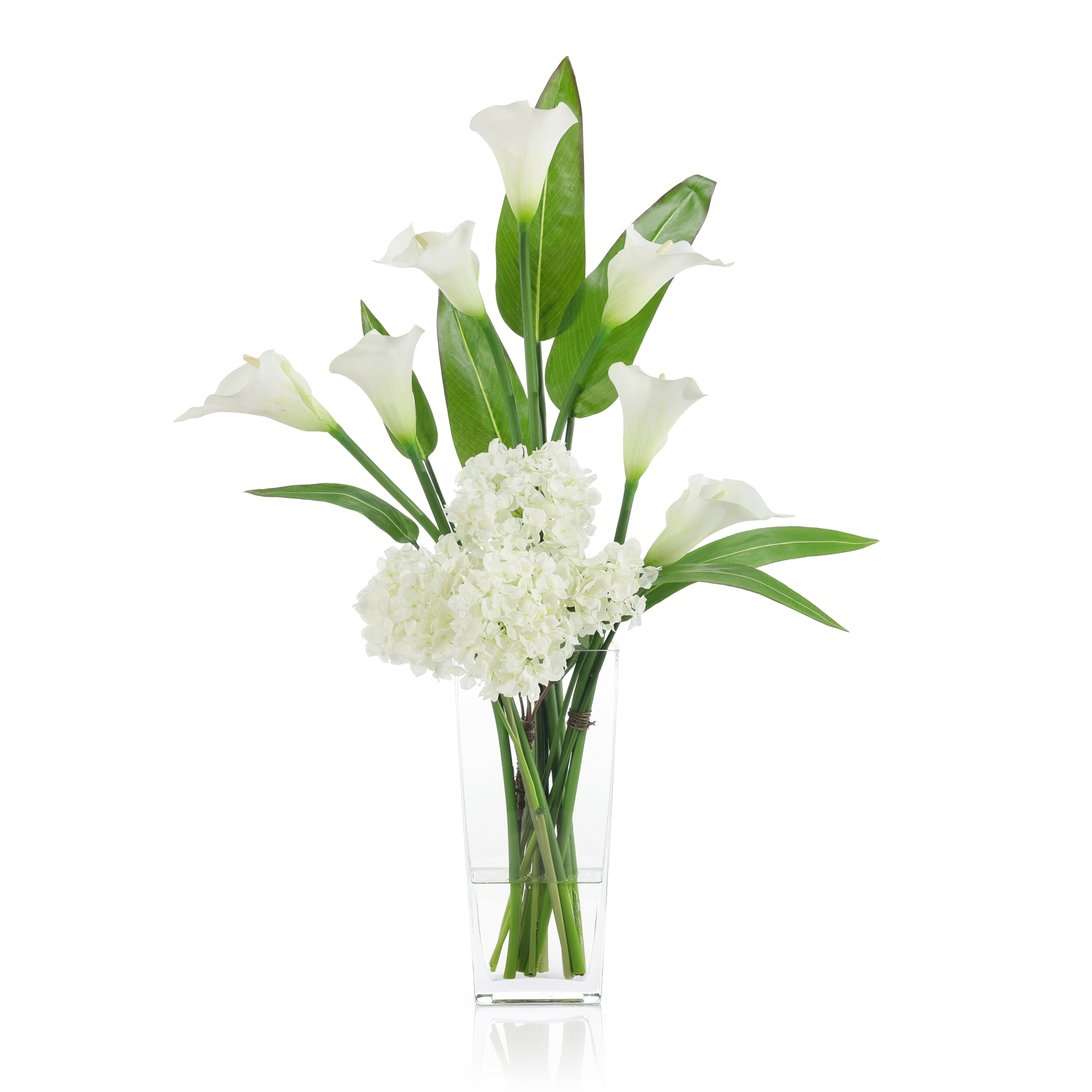 Callas and Pickerel