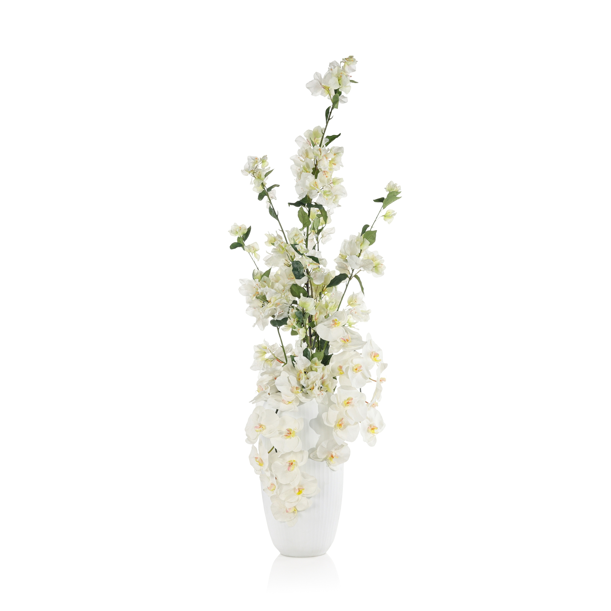 Snowy Bougainvillea and Orchids