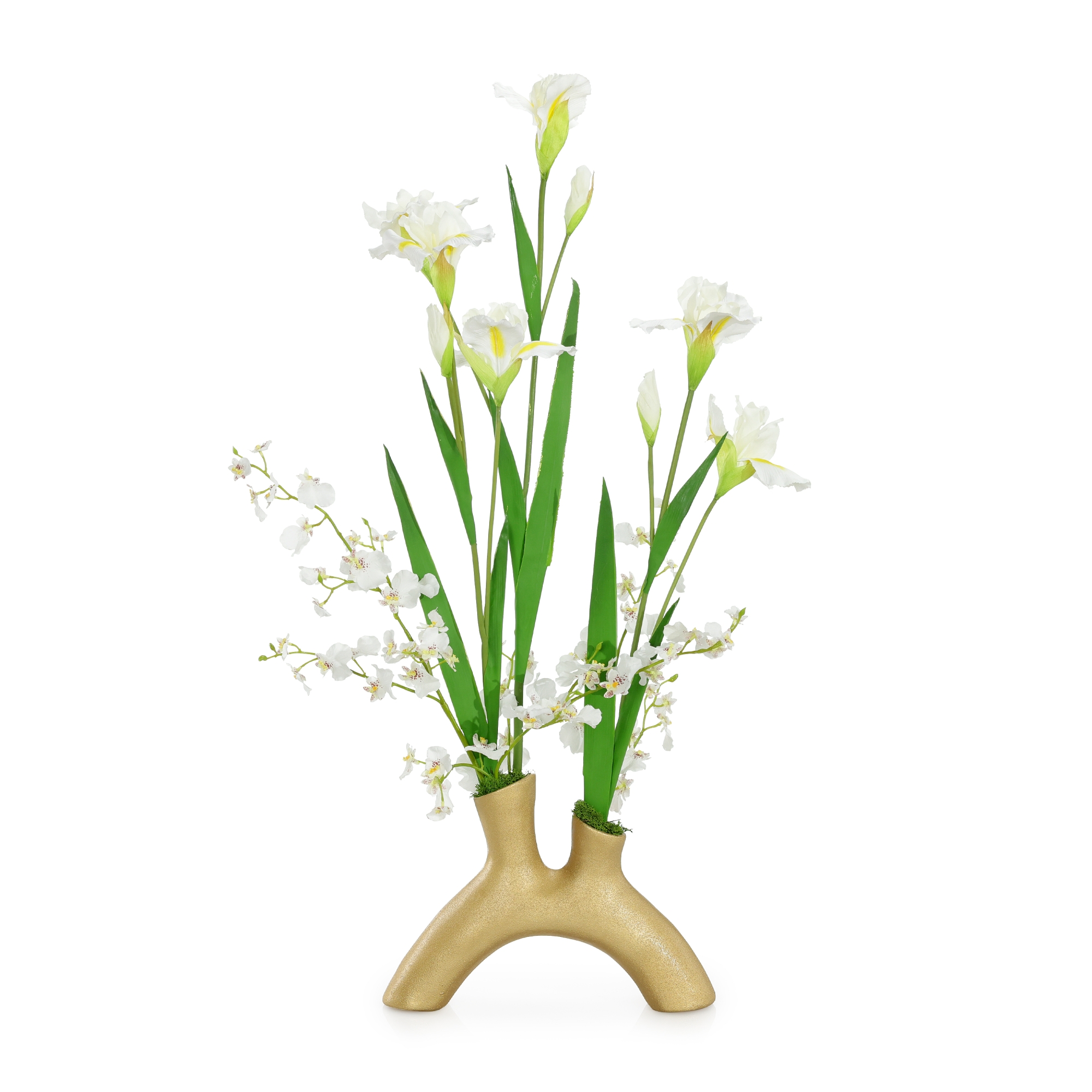 Golden Irises